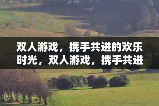 双人游戏，携手共进的欢乐时光，双人游戏，携手共进的欢乐时光