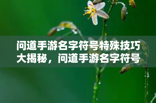 问道手游名字符号特殊技巧大揭秘,问道手游名字符号特殊技巧全解析 问道手游名字符号特殊技巧大揭秘,问道手游名字符号特殊技巧全解析