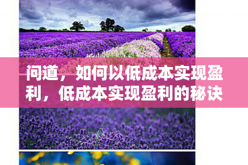 问道,如何以低成本实现盈利,低成本实现盈利的秘诀 问道,如何以低成本实现盈利,低成本实现盈利的秘诀