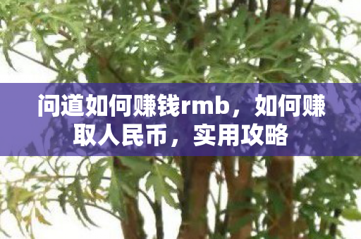 问道如何赚钱rmb,如何赚取人民币,实用攻略 问道如何赚钱rmb,如何赚取人民币,实用攻略