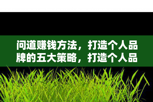 问道赚钱方法,打造个人品牌的五大策略,打造个人品牌的五大策略,问道赚钱方法 问道赚钱方法,打造个人品牌的五大策略,打造个人品牌的五大策略,问道赚钱方法