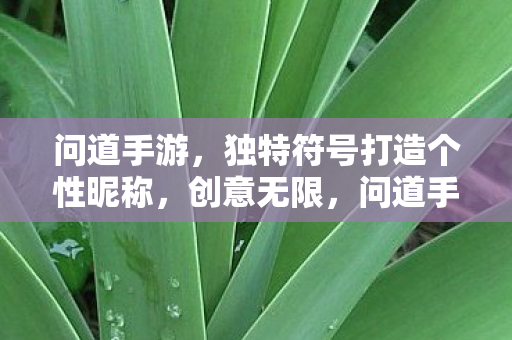问道手游,独特符号打造个性昵称,创意无限,问道手游,打造个性昵称,创意无限,独特符号等你来用! 问道手游,独特符号打造个性昵称,创意无限,问道手游,打造个性昵称,创意无限,独特符号等你来用!
