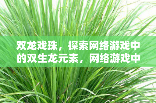 双龙戏珠，探索网络游戏中的双生龙元素，网络游戏中的双生龙元素，双龙戏珠的奥秘
