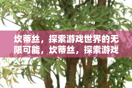 坎蒂丝,探索游戏世界的无限可能,坎蒂丝,探索游戏世界的无限可能 坎蒂丝,探索游戏世界的无限可能,坎蒂丝,探索游戏世界的无限可能