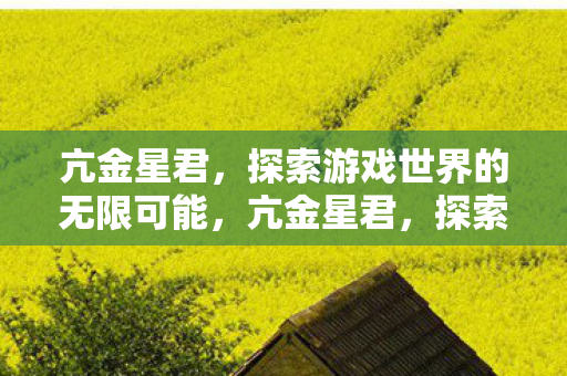 亢金星君,探索游戏世界的无限可能,亢金星君,探索游戏世界的无限可能 亢金星君,探索游戏世界的无限可能,亢金星君,探索游戏世界的无限可能
