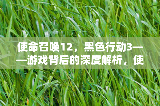 使命召唤12,黑色行动3——游戏背后的深度解析,使命召唤12,黑色行动3深度解析,游戏背后的故事与意义 使命召唤12,黑色行动3——游戏背后的深度解析,使命召唤12,黑色行动3深度解析,游戏背后的故事与意义