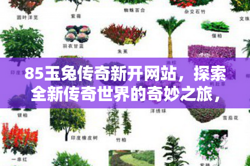 85玉兔传奇新开网站,探索全新传奇世界的奇妙之旅,85玉兔传奇新网站上线,开启传奇世界探险之旅 85玉兔传奇新开网站,探索全新传奇世界的奇妙之旅,85玉兔传奇新网站上线,开启传奇世界探险之旅