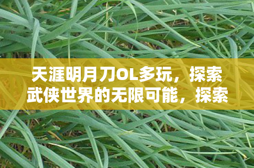 探索武侠世界的无限可能图片