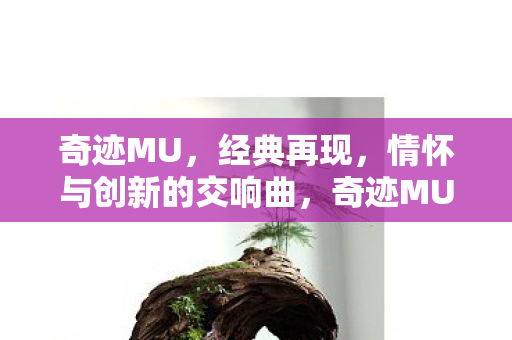 情怀与创新的交响曲图片