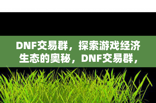 探索游戏经济生态的奥秘图片