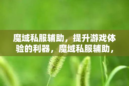 提升游戏体验的神奇利器图片