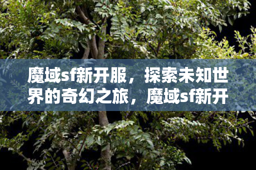 探索未知世界的奇幻之旅图片