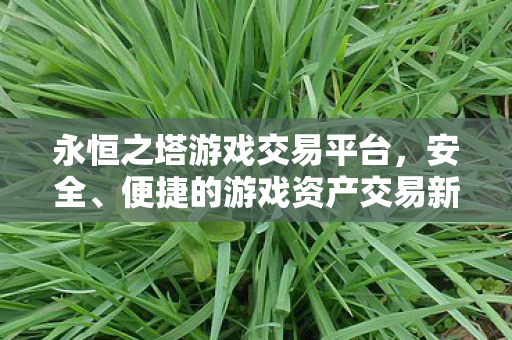 永恒之塔游戏交易平台,安全、便捷的游戏资产交易新选择,永恒之塔游戏交易平台,安全便捷,游戏资产交易新选择 永恒之塔游戏交易平台,安全、便捷的游戏资产交易新选择,永恒之塔游戏交易平台,安全便捷,游戏资产交易新选择
