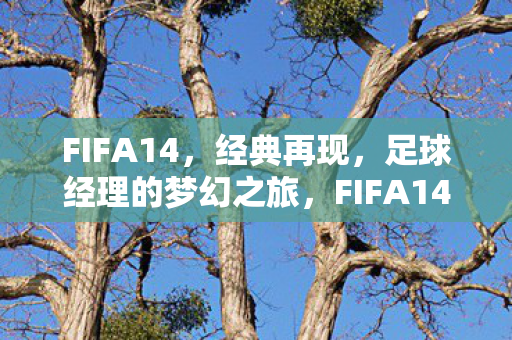 FIFA14,经典再现,足球经理的梦幻之旅,FIFA14,经典再现,足球经理的梦幻之旅 FIFA14,经典再现,足球经理的梦幻之旅,FIFA14,经典再现,足球经理的梦幻之旅