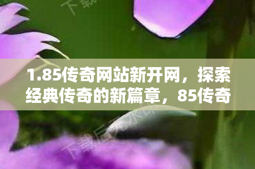 1.85传奇网站新开网,探索经典传奇的新篇章,85传奇新篇章,探索经典传奇网站新开网 1.85传奇网站新开网,探索经典传奇的新篇章,85传奇新篇章,探索经典传奇网站新开网