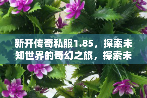 新开传奇私服1.85,探索未知世界的奇幻之旅,探索未知世界的奇幻之旅,1.85传奇私服新开启 新开传奇私服1.85,探索未知世界的奇幻之旅,探索未知世界的奇幻之旅,1.85传奇私服新开启