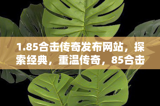 1.85合击传奇发布网站,探索经典,重温传奇,85合击传奇发布网站,重温经典传奇,探索传奇世界 1.85合击传奇发布网站,探索经典,重温传奇,85合击传奇发布网站,重温经典传奇,探索传奇世界