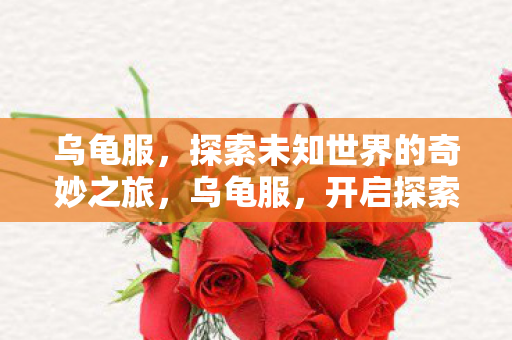 乌龟服，探索未知世界的奇妙之旅，乌龟服，开启探索未知世界的奇妙旅程