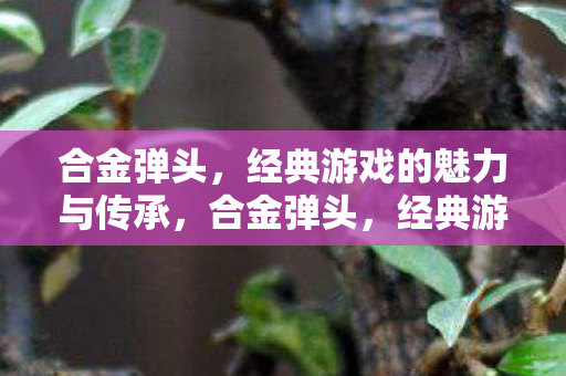 合金弹头,经典游戏的魅力与传承,合金弹头,经典游戏的魅力与传承 合金弹头,经典游戏的魅力与传承,合金弹头,经典游戏的魅力与传承