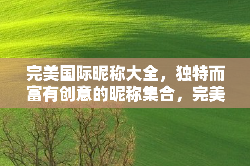 完美国际昵称大全,独特而富有创意的昵称集合,完美国际,独特创意昵称大全 完美国际昵称大全,独特而富有创意的昵称集合,完美国际,独特创意昵称大全