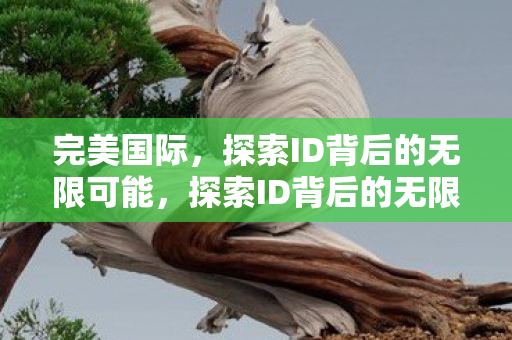 完美国际,探索ID背后的无限可能,探索ID背后的无限可能,完美国际之旅 完美国际,探索ID背后的无限可能,探索ID背后的无限可能,完美国际之旅
