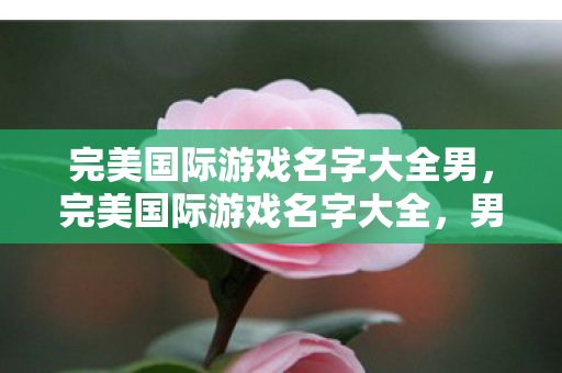 完美国际游戏名字大全男，完美国际游戏名字大全，男性角色名字精选
