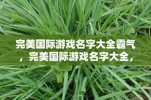 完美国际游戏名字大全霸气,完美国际游戏名字大全,霸气十足,震撼你的视觉! 完美国际游戏名字大全霸气,完美国际游戏名字大全,霸气十足,震撼你的视觉!
