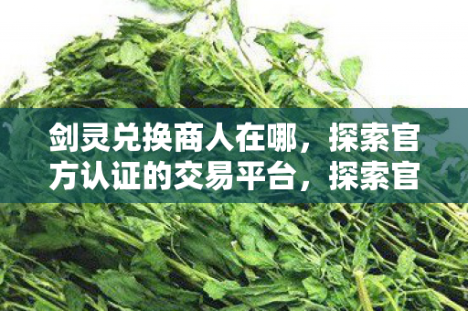 剑灵兑换商人在哪,探索官方认证的交易平台,探索官方认证的交易平台,寻找剑灵兑换商人 剑灵兑换商人在哪,探索官方认证的交易平台,探索官方认证的交易平台,寻找剑灵兑换商人
