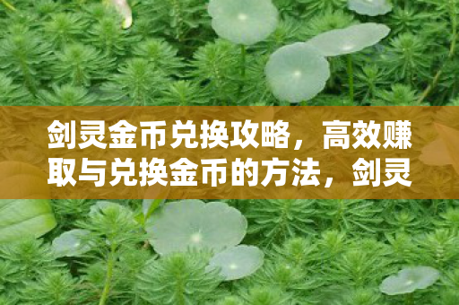 剑灵金币兑换攻略,高效赚取与兑换金币的方法,剑灵金币兑换秘籍,高效赚取与兑换金币的实战指南 剑灵金币兑换攻略,高效赚取与兑换金币的方法,剑灵金币兑换秘籍,高效赚取与兑换金币的实战指南
