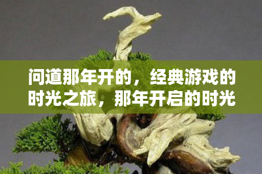 经典游戏的时光之旅图片