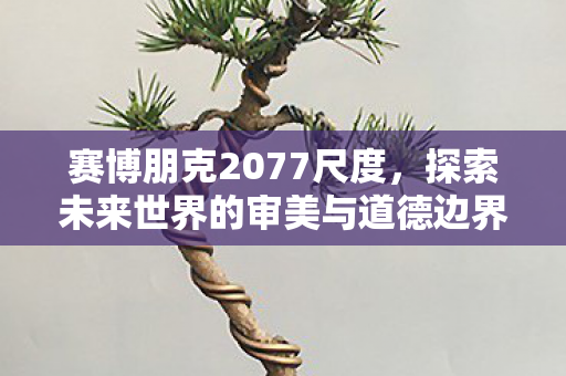 赛博朋克2077尺度,探索未来世界的审美与道德边界,赛博朋克2077,探索未来世界的审美与道德边界 赛博朋克2077尺度,探索未来世界的审美与道德边界,赛博朋克2077,探索未来世界的审美与道德边界
