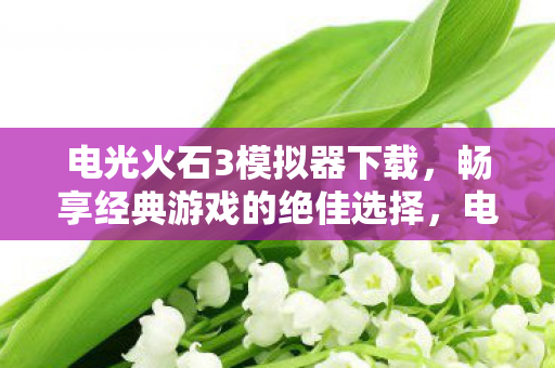 电光火石3模拟器下载，畅享经典游戏的绝佳选择，电光火石3模拟器，重温经典游戏的不二之选