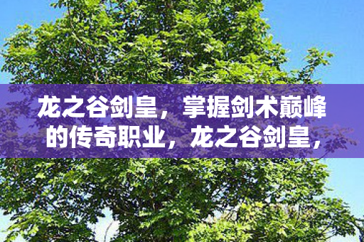 龙之谷剑皇,掌握剑术巅峰的传奇职业,龙之谷剑皇,掌握剑术巅峰的传奇职业 龙之谷剑皇,掌握剑术巅峰的传奇职业,龙之谷剑皇,掌握剑术巅峰的传奇职业