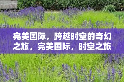 完美国际，跨越时空的奇幻之旅，完美国际，时空之旅的奇幻冒险