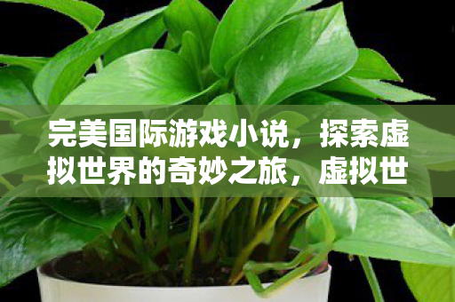 完美国际游戏小说，探索虚拟世界的奇妙之旅，虚拟世界的奇妙之旅，完美国际游戏小说