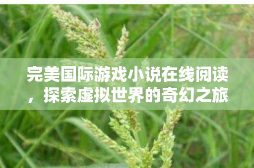 完美国际游戏小说在线阅读，探索虚拟世界的奇幻之旅，探索虚拟世界的奇幻之旅，完美国际游戏小说在线阅读
