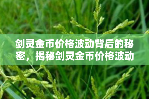 剑灵金币价格波动背后的秘密,揭秘剑灵金币价格波动背后的真相 剑灵金币价格波动背后的秘密,揭秘剑灵金币价格波动背后的真相