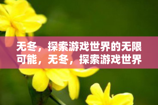 无冬,探索游戏世界的无限可能,无冬,探索游戏世界的无限可能 无冬,探索游戏世界的无限可能,无冬,探索游戏世界的无限可能