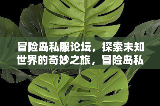 冒险岛私服论坛,探索未知世界的奇妙之旅,冒险岛私服论坛,探索未知世界的奇妙之旅 冒险岛私服论坛,探索未知世界的奇妙之旅,冒险岛私服论坛,探索未知世界的奇妙之旅