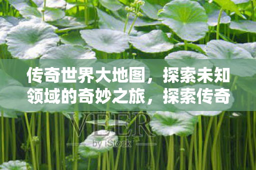 传奇世界大地图,探索未知领域的奇妙之旅,探索传奇世界,大地图上的奇妙之旅 传奇世界大地图,探索未知领域的奇妙之旅,探索传奇世界,大地图上的奇妙之旅