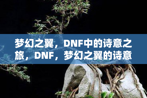 DNF中的诗意之旅图片