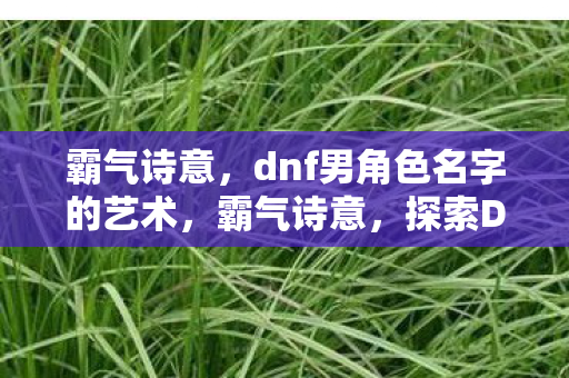 探索DNF男角色名字的艺术之美图片