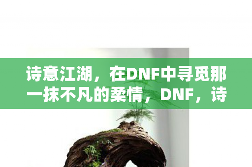 在DNF中寻觅那一抹不凡的柔情图片
