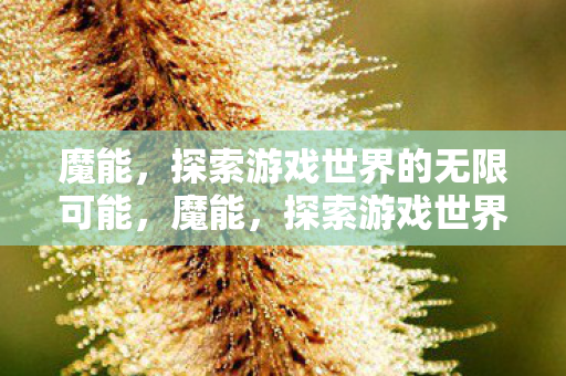 魔能,探索游戏世界的无限可能,魔能,探索游戏世界的无限可能 魔能,探索游戏世界的无限可能,魔能,探索游戏世界的无限可能