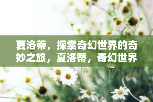夏洛蒂，探索奇幻世界的奇妙之旅，夏洛蒂，奇幻世界的奇妙探索之旅
