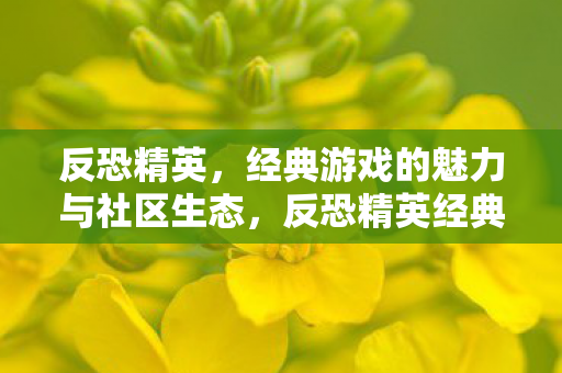 反恐精英,经典游戏的魅力与社区生态,反恐精英经典魅力与社区生态解析 反恐精英,经典游戏的魅力与社区生态,反恐精英经典魅力与社区生态解析