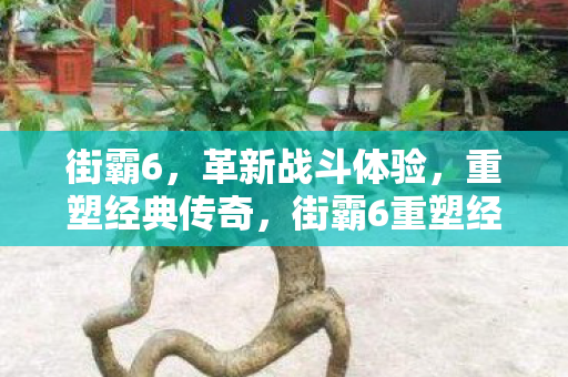 街霸6,革新战斗体验,重塑经典传奇,街霸6重塑经典传奇,革新战斗体验 街霸6,革新战斗体验,重塑经典传奇,街霸6重塑经典传奇,革新战斗体验