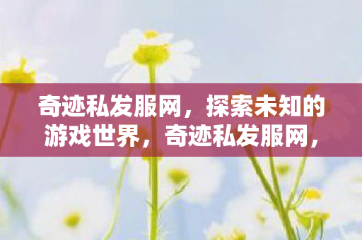 奇迹私发服网,探索未知的游戏世界,奇迹私发服网,探索未知的游戏世界 奇迹私发服网,探索未知的游戏世界,奇迹私发服网,探索未知的游戏世界