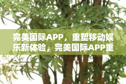 完美国际APP,重塑移动娱乐新体验,完美国际APP重塑移动娱乐新体验 完美国际APP,重塑移动娱乐新体验,完美国际APP重塑移动娱乐新体验