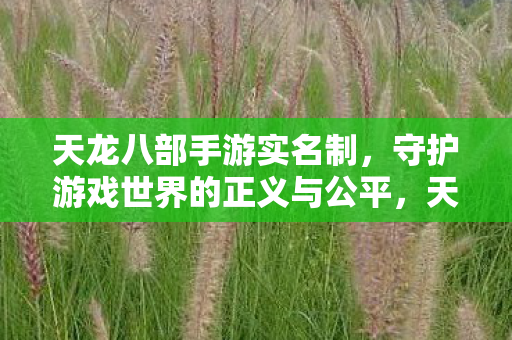 天龙八部手游实名制,守护游戏世界的正义与公平,天龙八部手游实名制上线,守护游戏世界的正义与公平 天龙八部手游实名制,守护游戏世界的正义与公平,天龙八部手游实名制上线,守护游戏世界的正义与公平